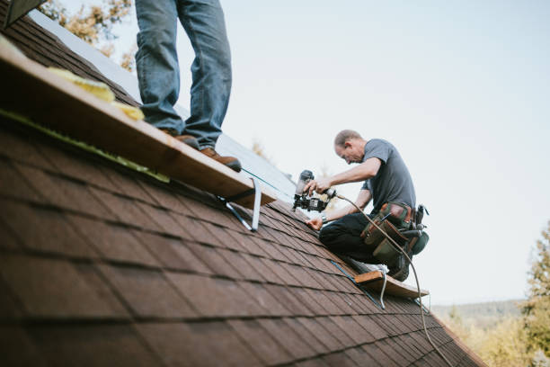 Roof Gutter Cleaning in Lexington, KY